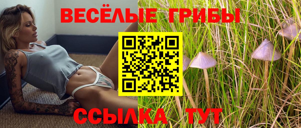 Галлюциногенные грибы Magic Shrooms Камышин