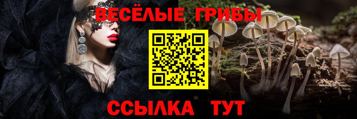 Псилоцибиновые грибы Magic Shrooms  сколько стоит  Камышин  Вход с VPN 